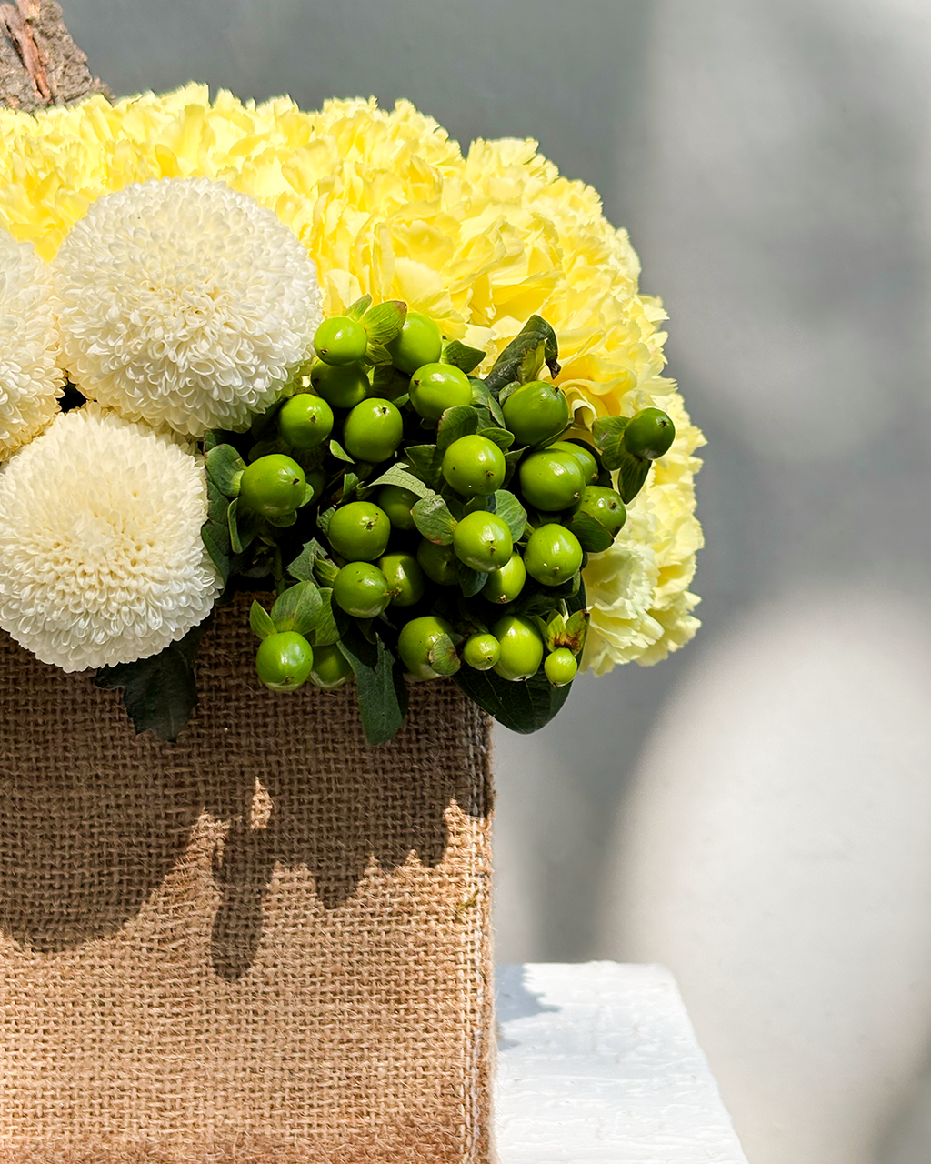 YELLOW CARNATIONS & PINGPONGS