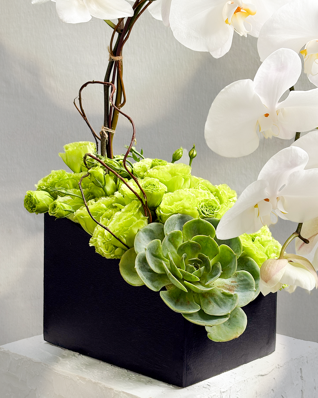 WHITE PHALAENOPSIS & GREEN LISIANTHUS