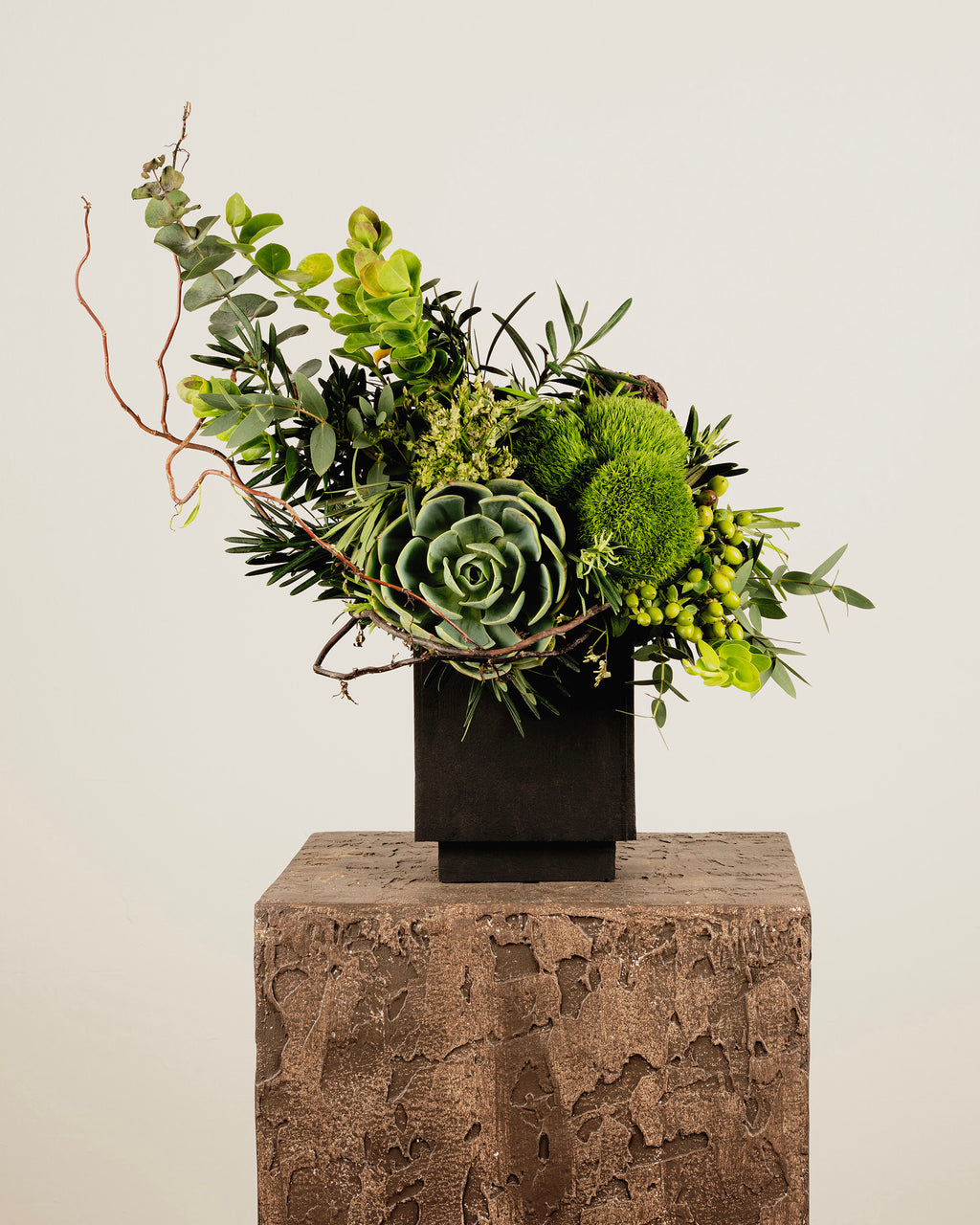 SUCCULENT & GREEN TRICK
