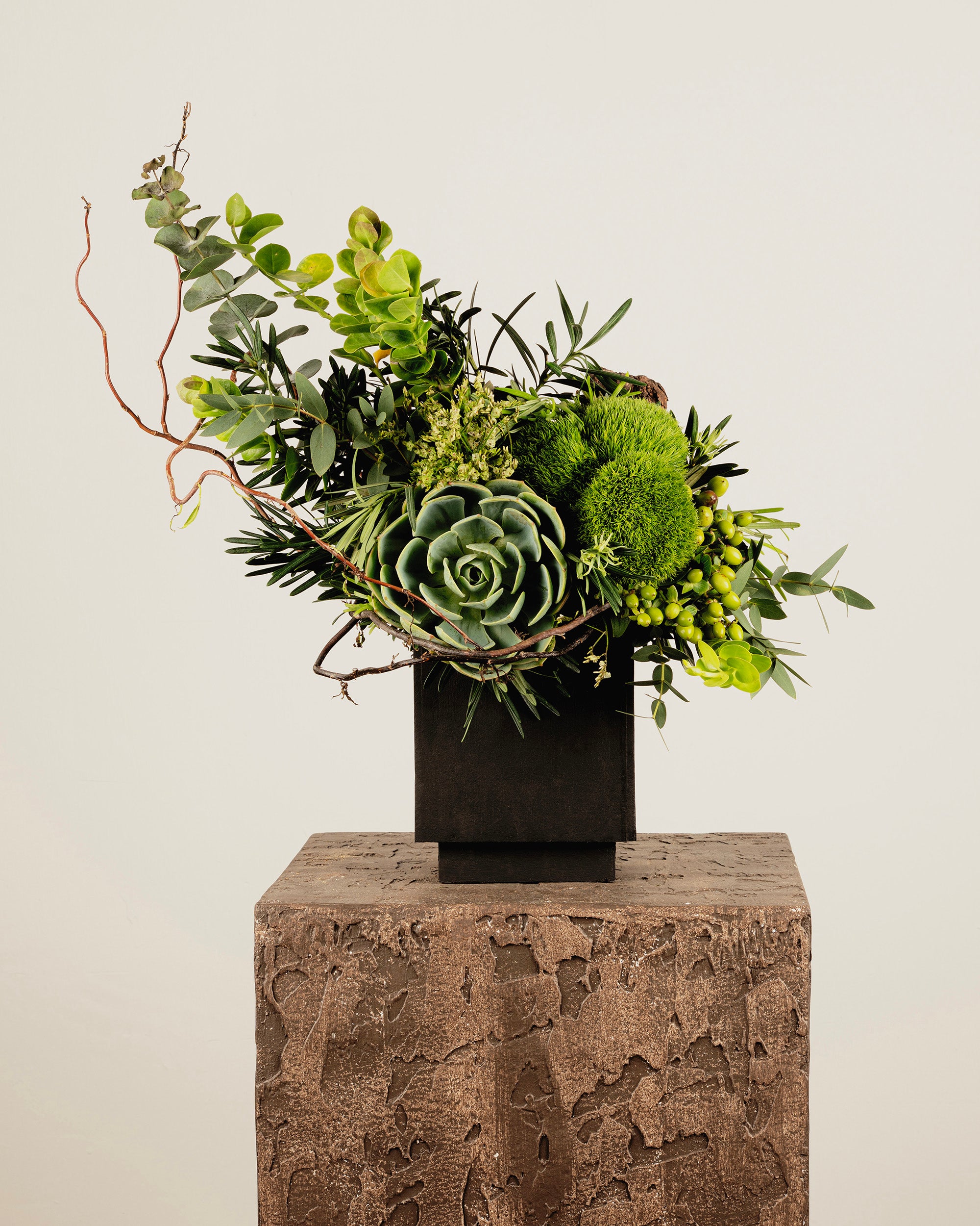 SUCCULENT & GREEN TRICK