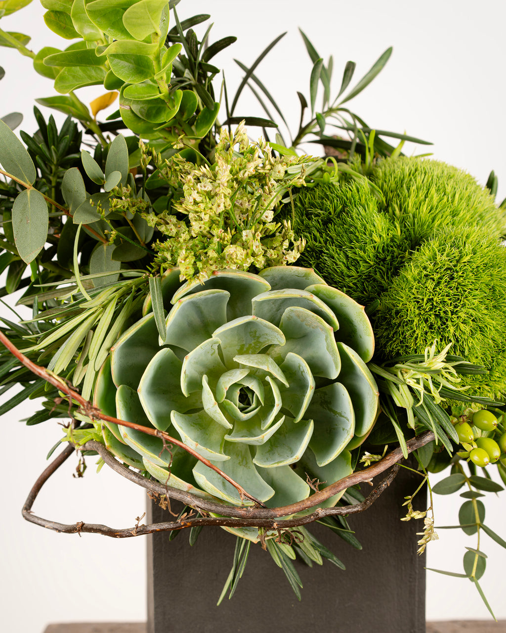 SUCCULENT & GREEN TRICK