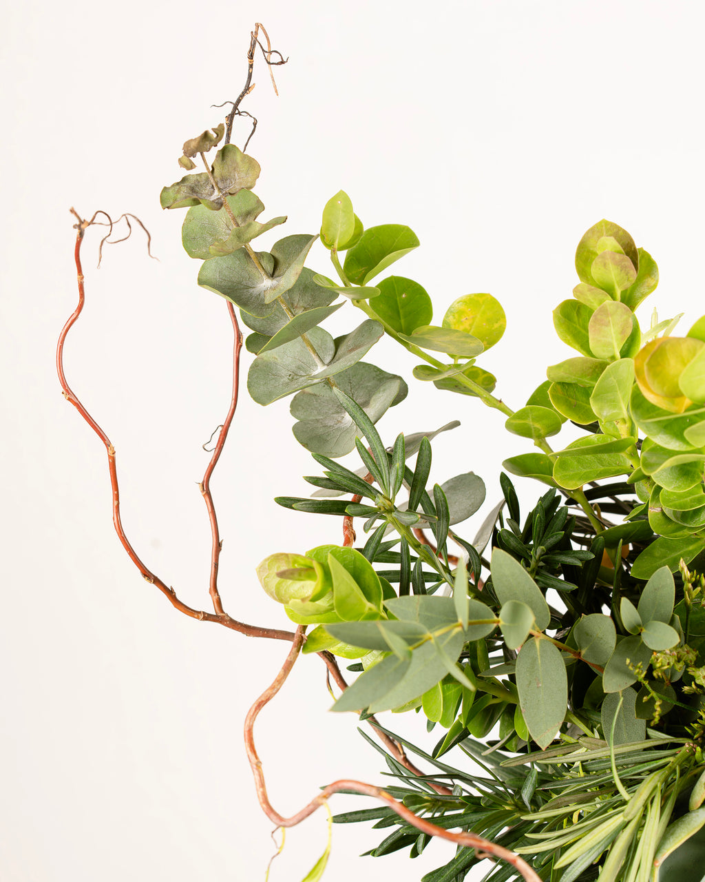 SUCCULENT & GREEN TRICK