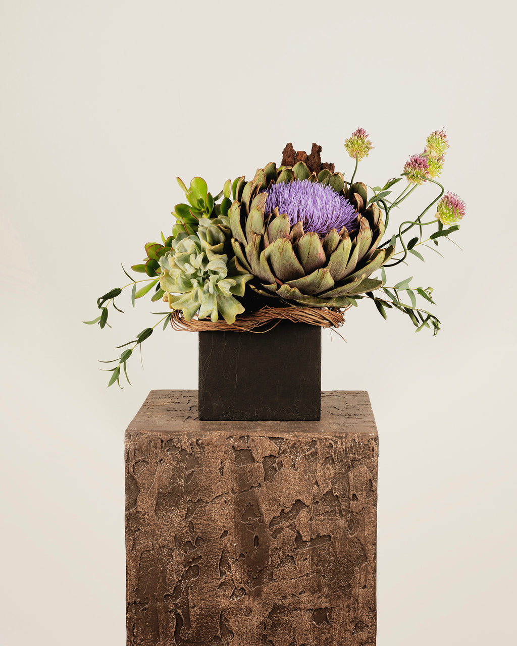 PROTEA GRANDE