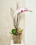 1-STEM PINK TABLE-TOP PHALAENOPSIS