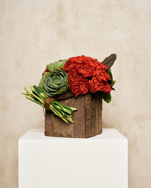 RED CARNATIONS & SUCCULENTS