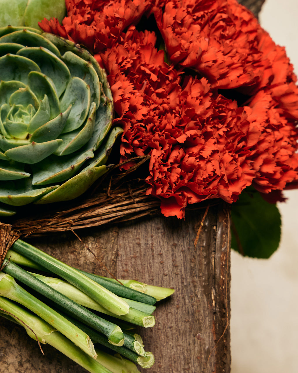 RED CARNATIONS & SUCCULENTS