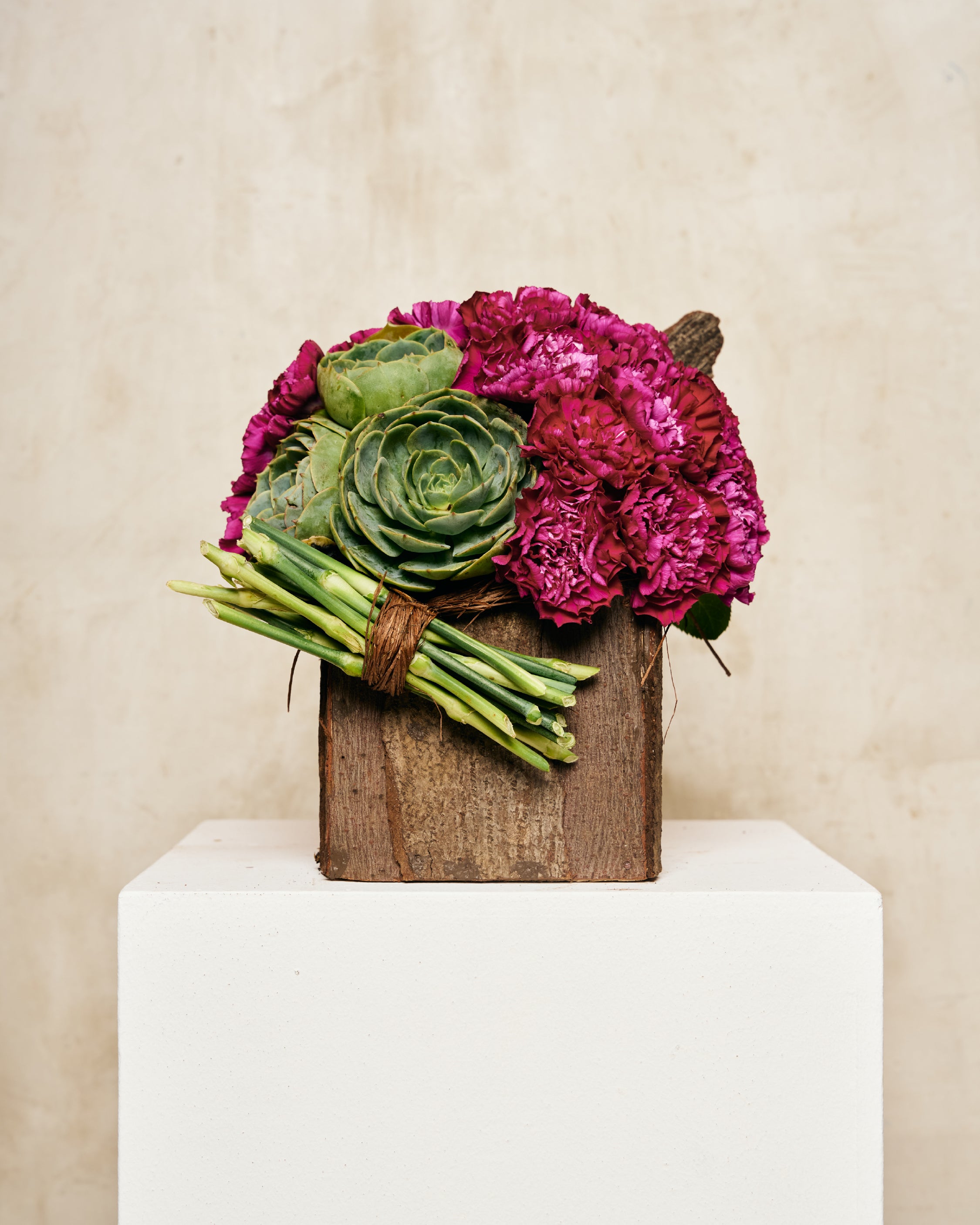 PINK CARNATIONS & SUCCULENTS