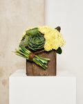 YELLOW CARNATIONS & SUCCULENTS