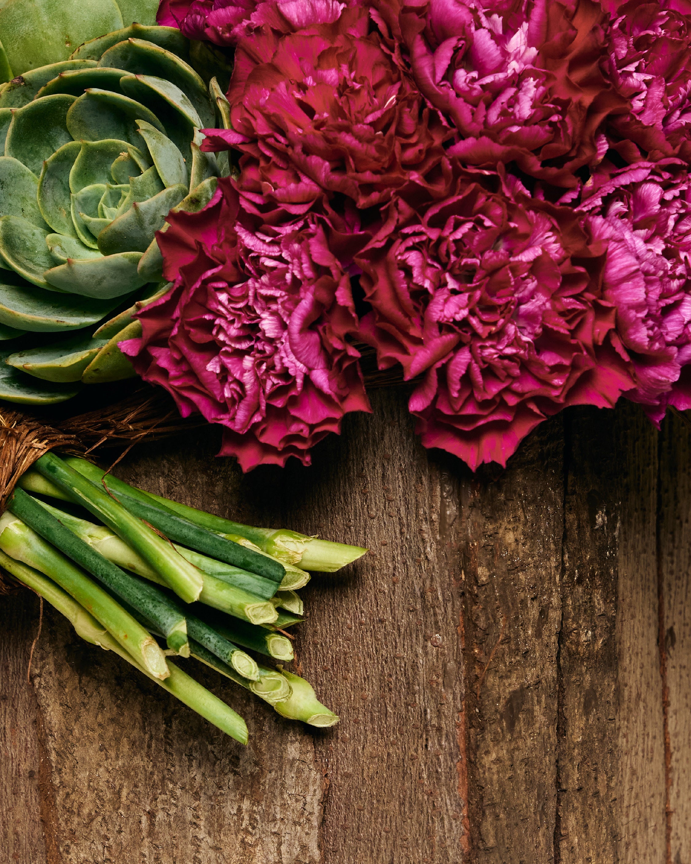 PINK CARNATIONS & SUCCULENTS