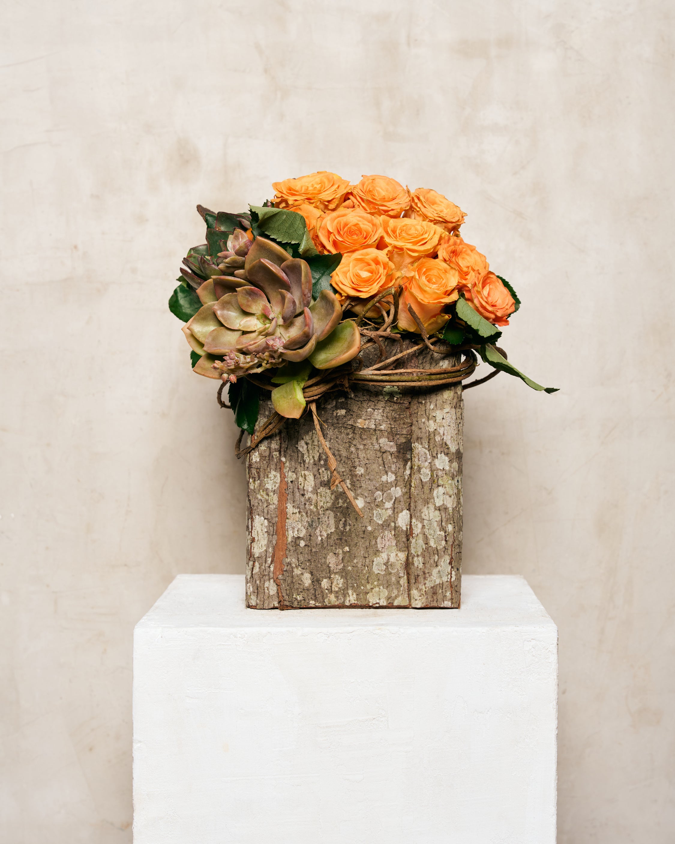 ASIAN ROSES & SUCCULENTS