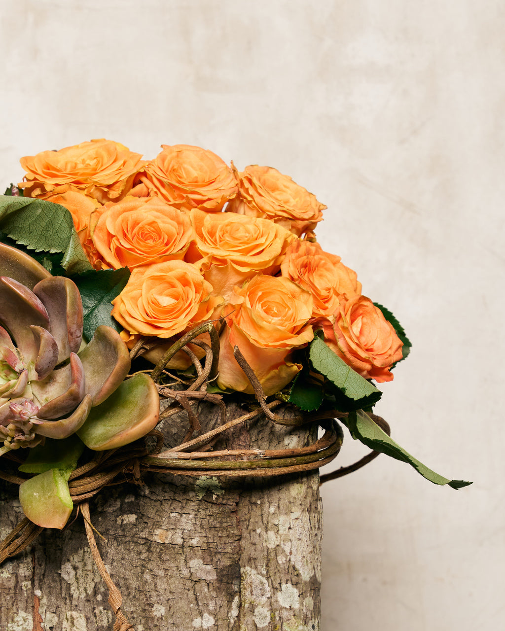 ASIAN ROSES & SUCCULENTS