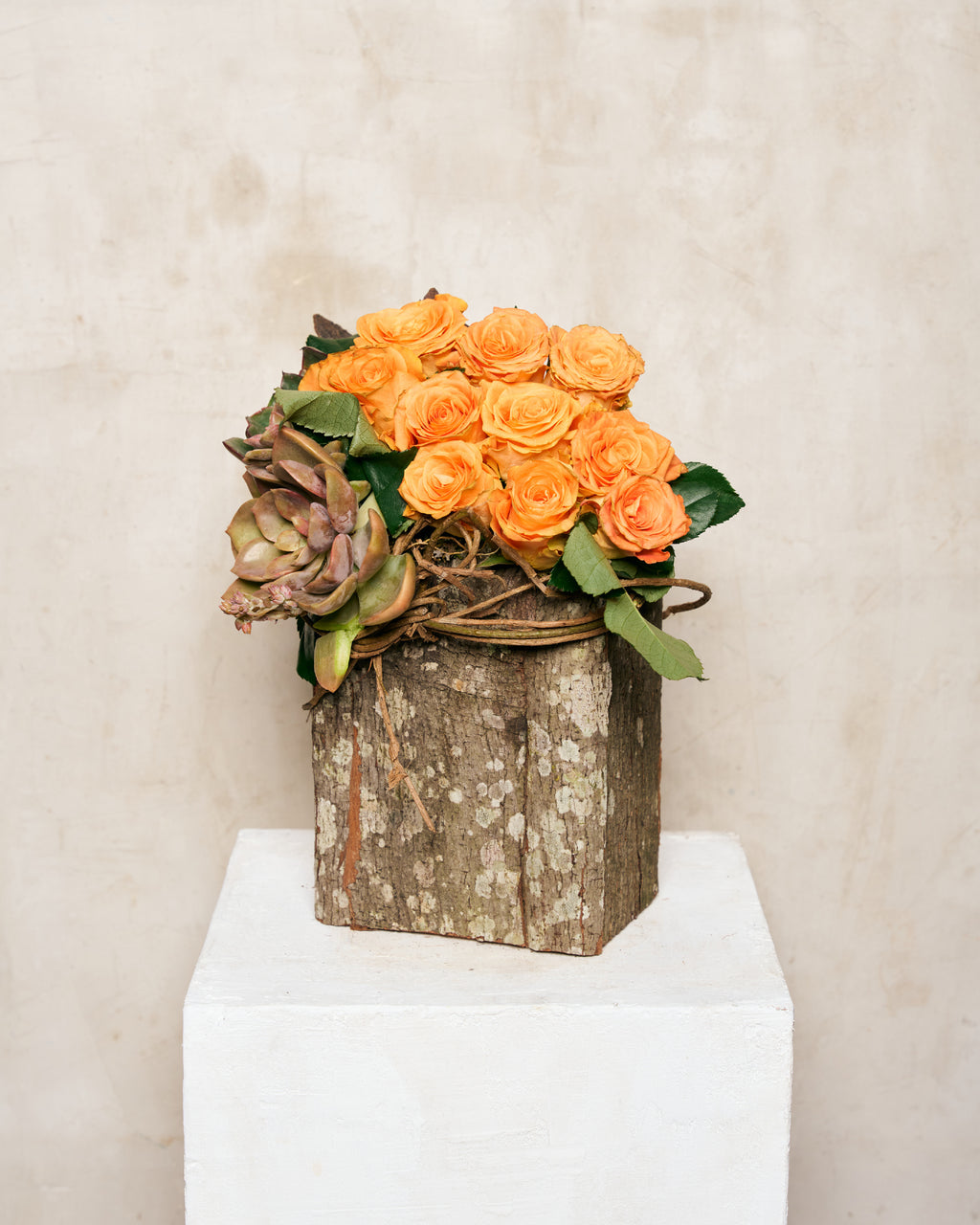 ASIAN ROSES & SUCCULENTS