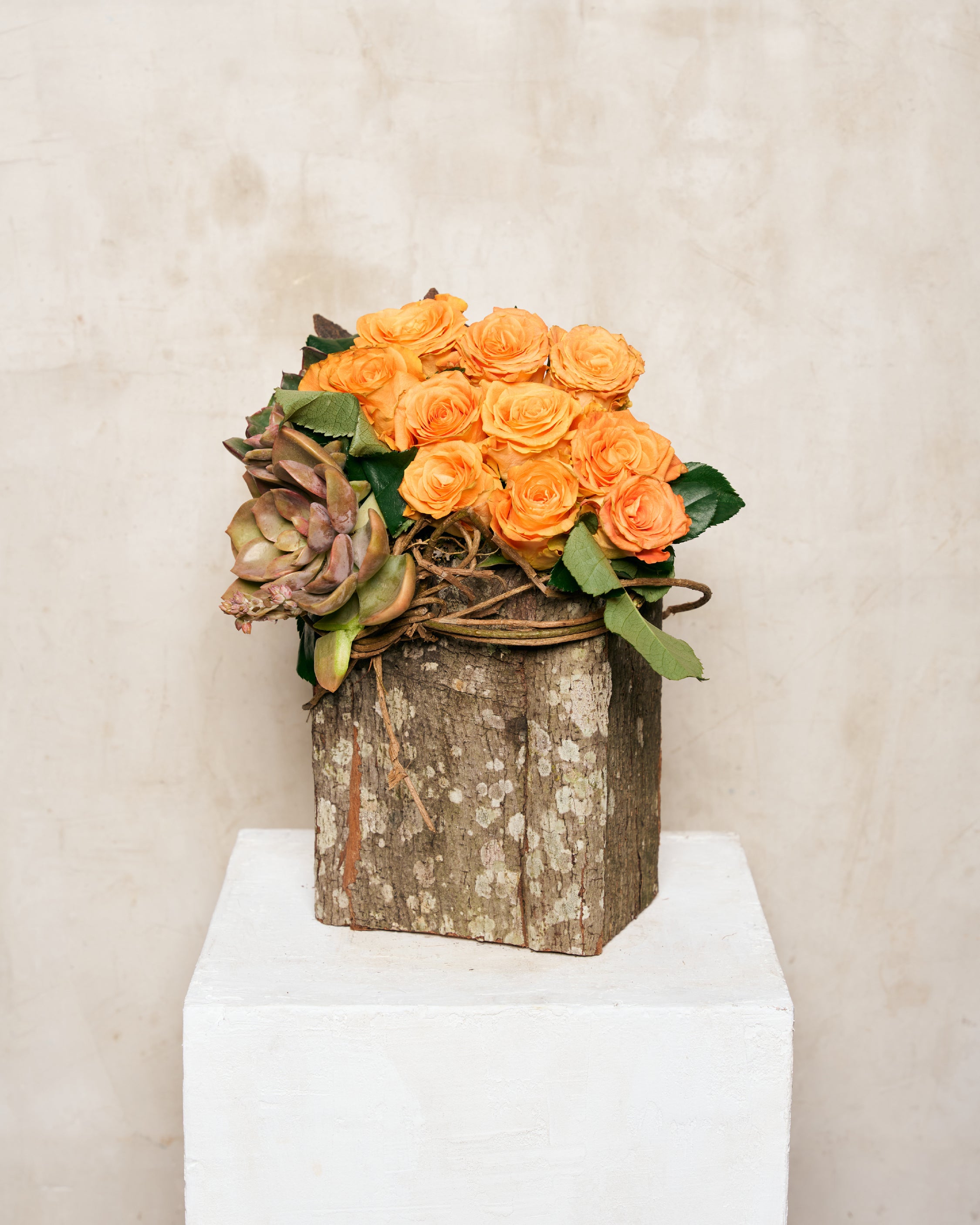 ASIAN ROSES & SUCCULENTS