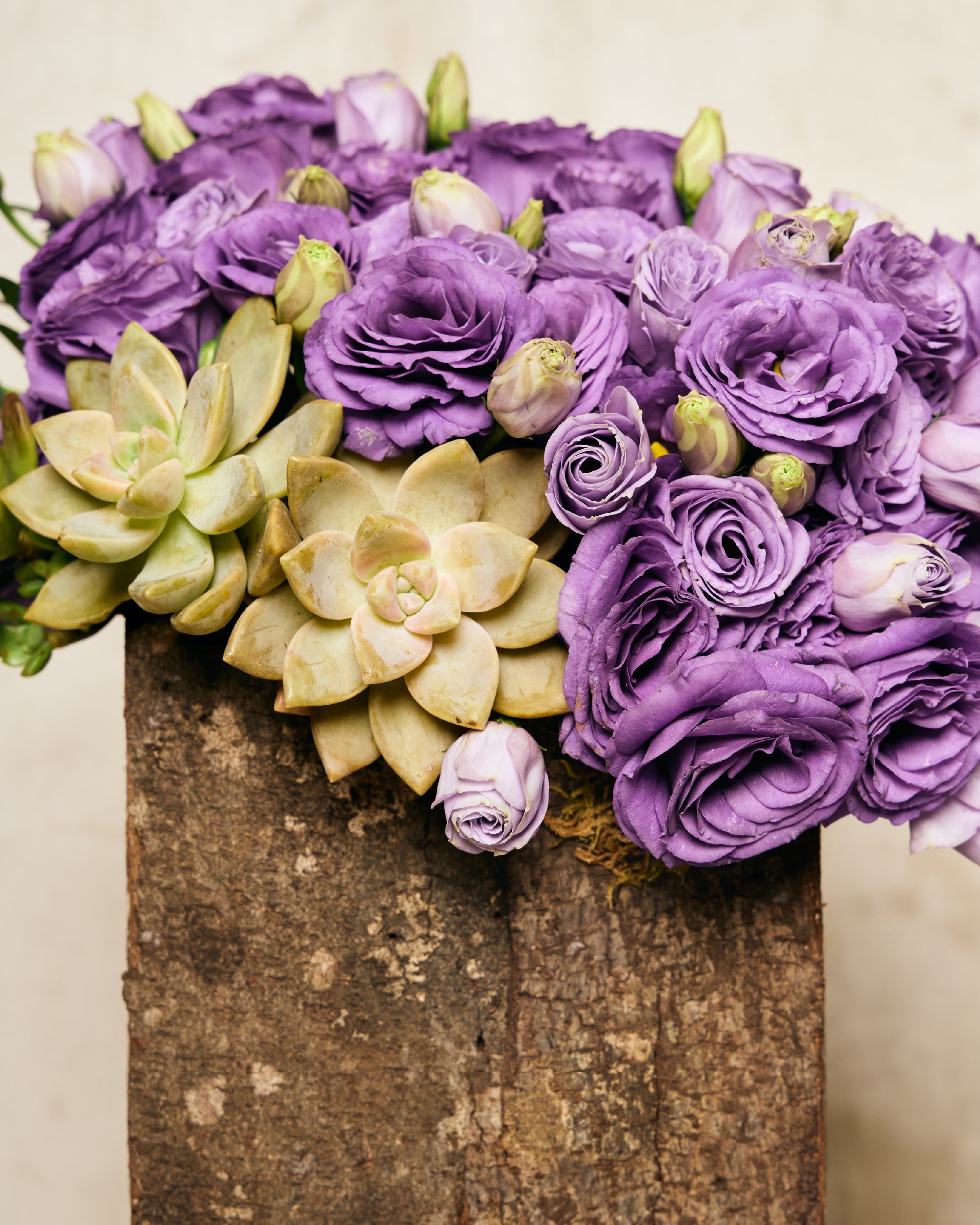 PURPLE LISIANTHUS & SUCCULENTS