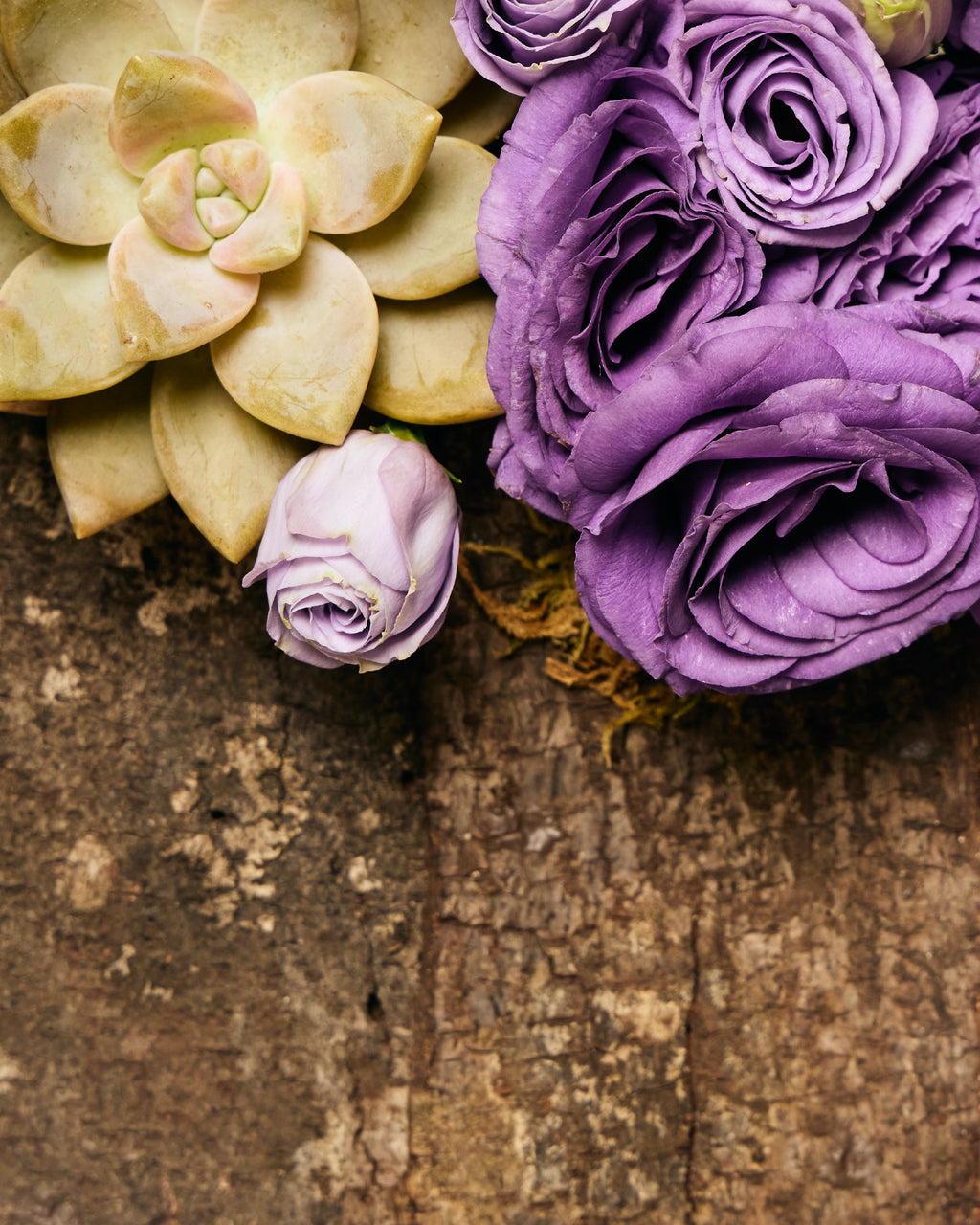 PURPLE LISIANTHUS & SUCCULENTS