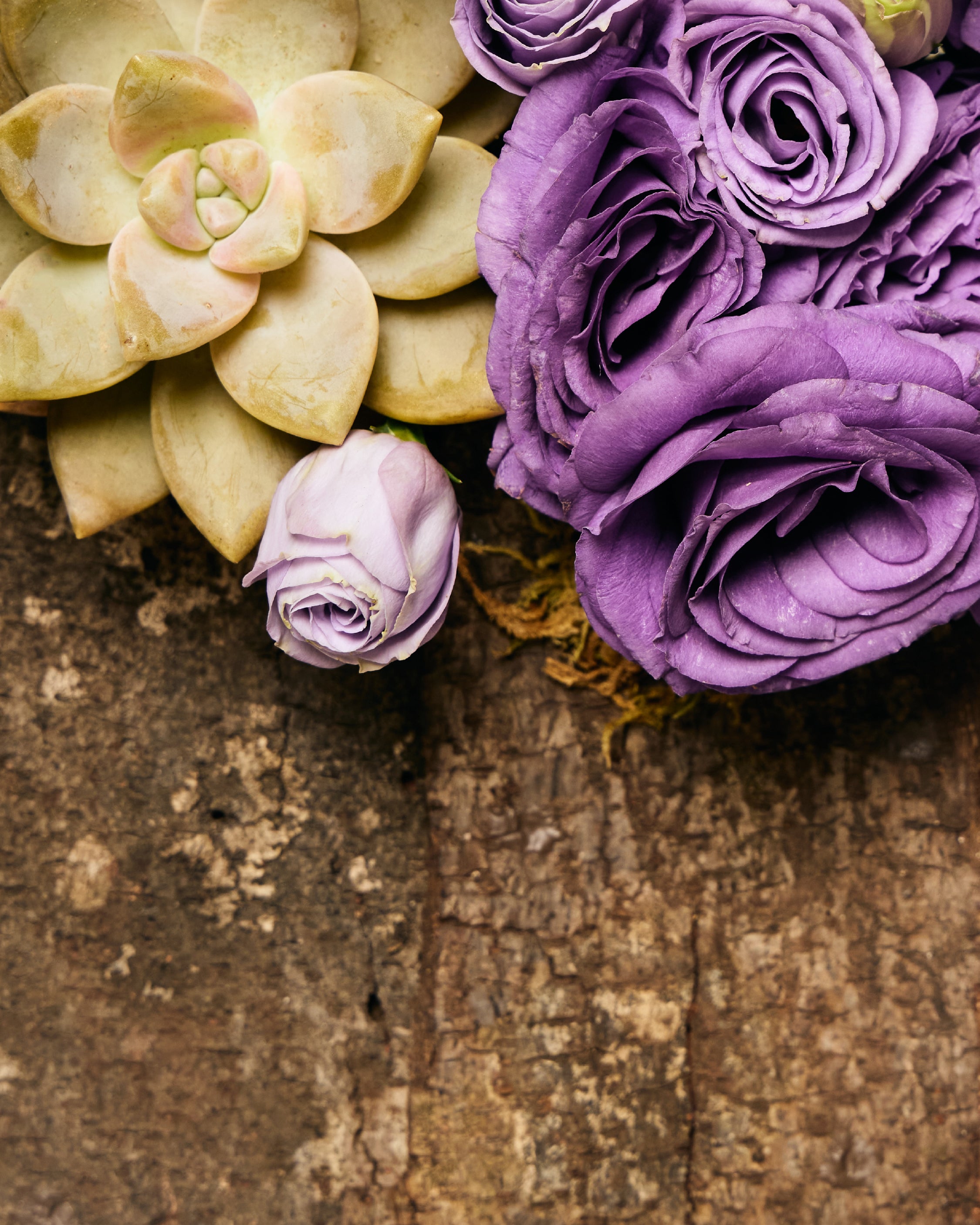 PURPLE LISIANTHUS & SUCCULENTS