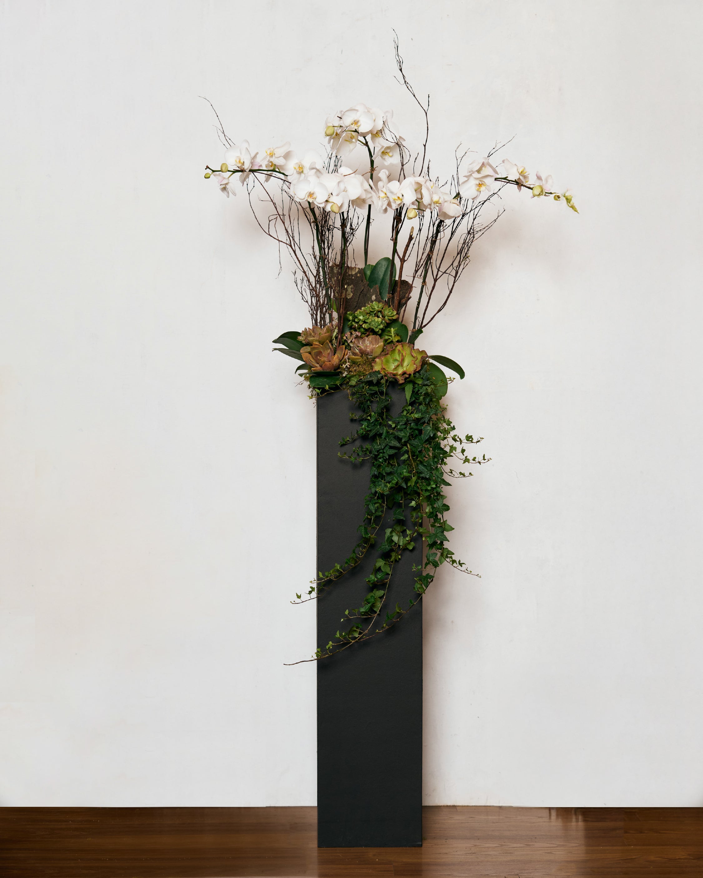 SYMPATHY IVORY STANDING PHALAENOPSIS