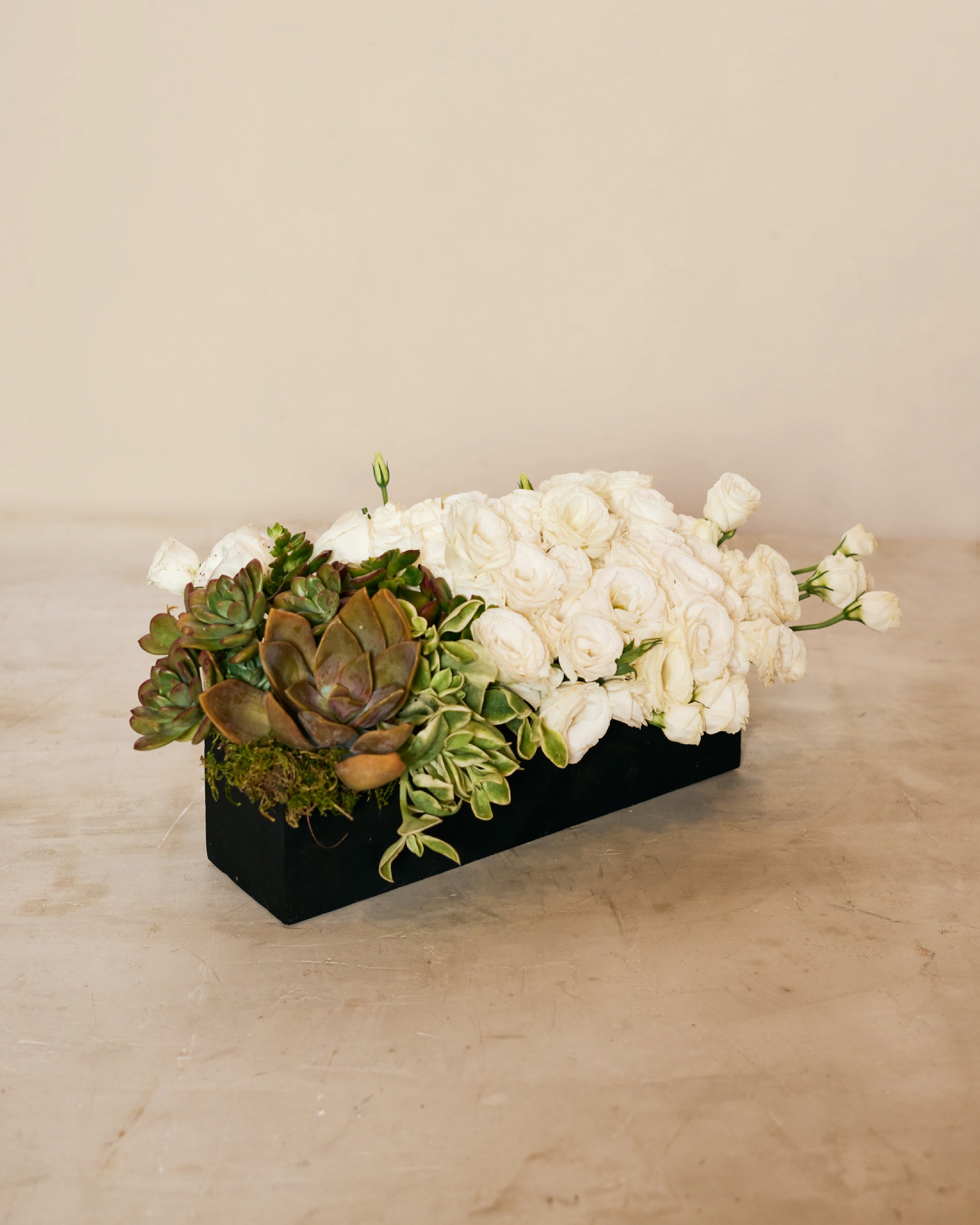 LISIANTHUS & SUCCULENTS