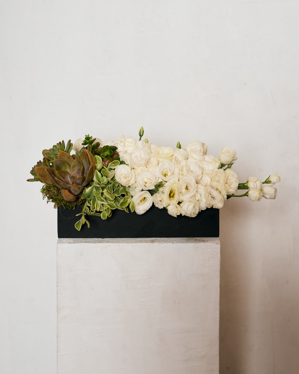 LISIANTHUS & SUCCULENTS