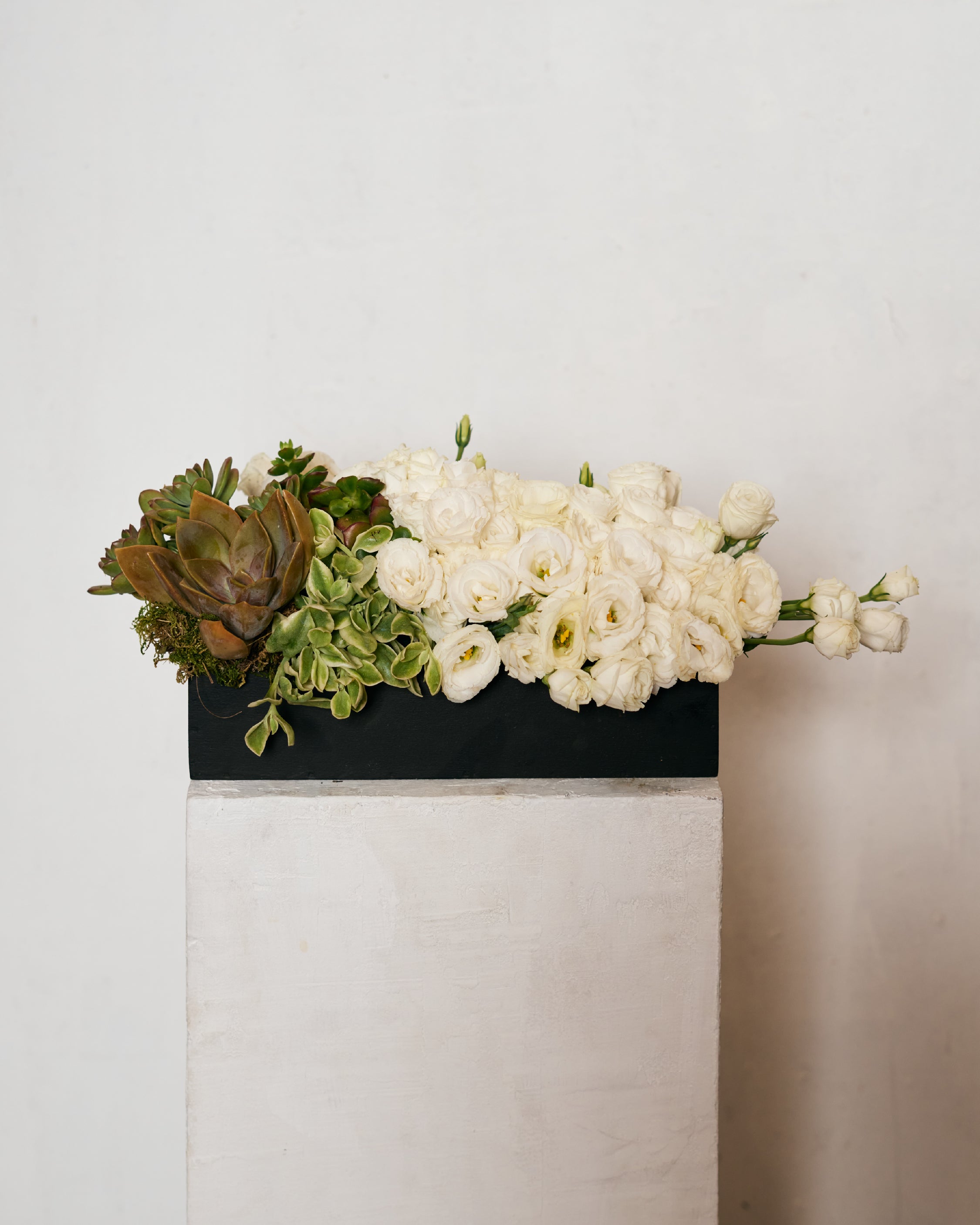 LISIANTHUS & SUCCULENTS