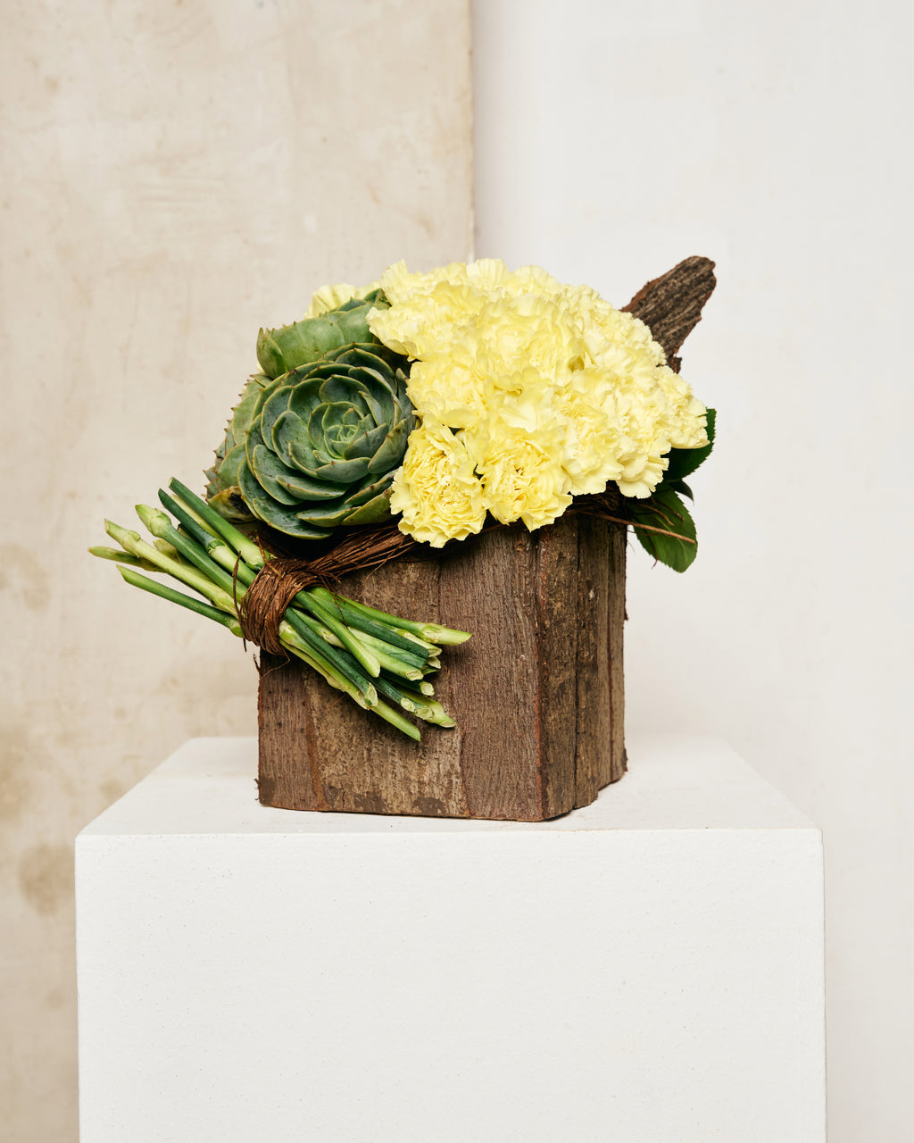 YELLOW CARNATIONS & SUCCULENTS