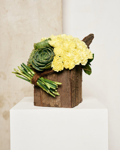 YELLOW CARNATIONS & SUCCULENTS