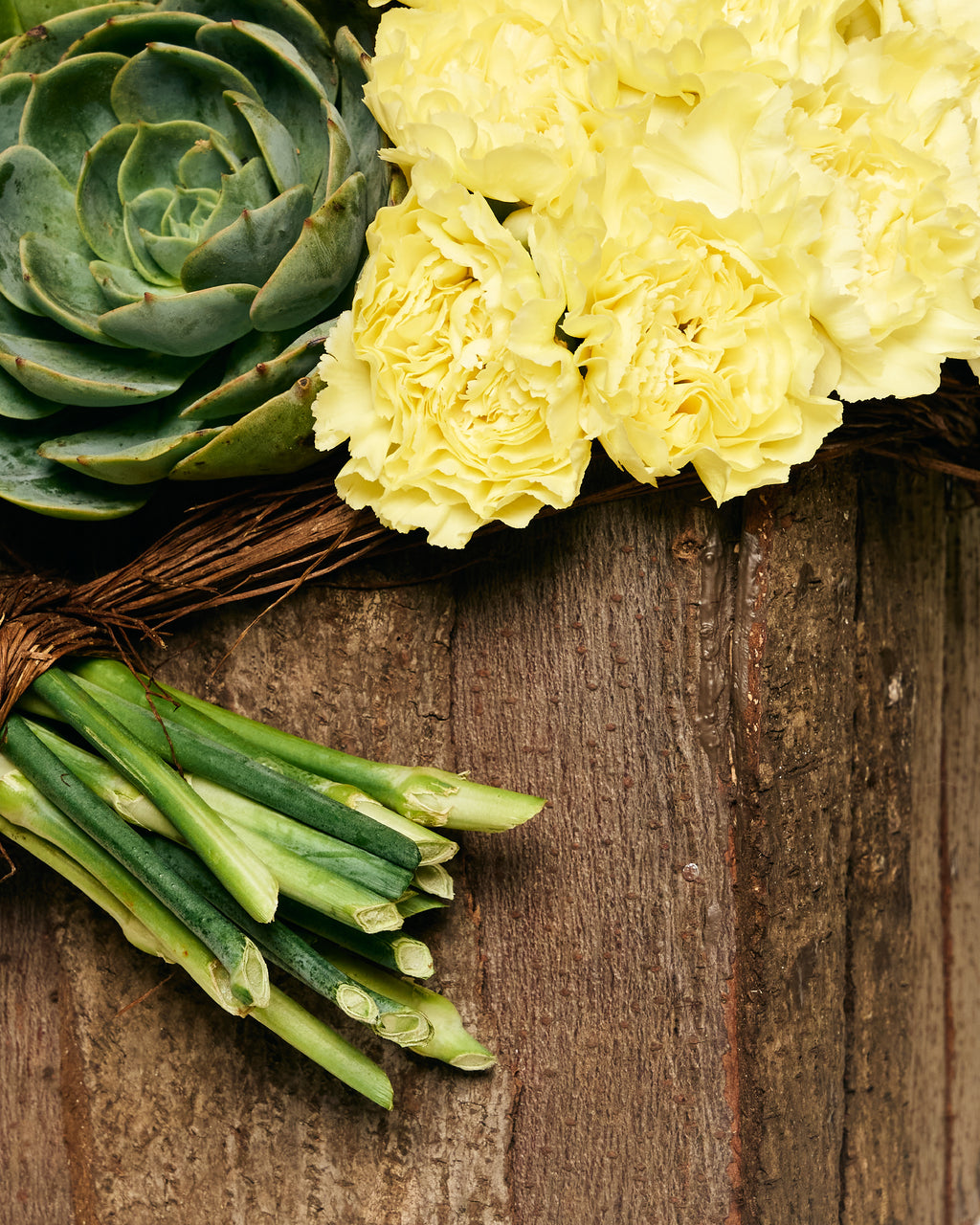 YELLOW CARNATIONS & SUCCULENTS