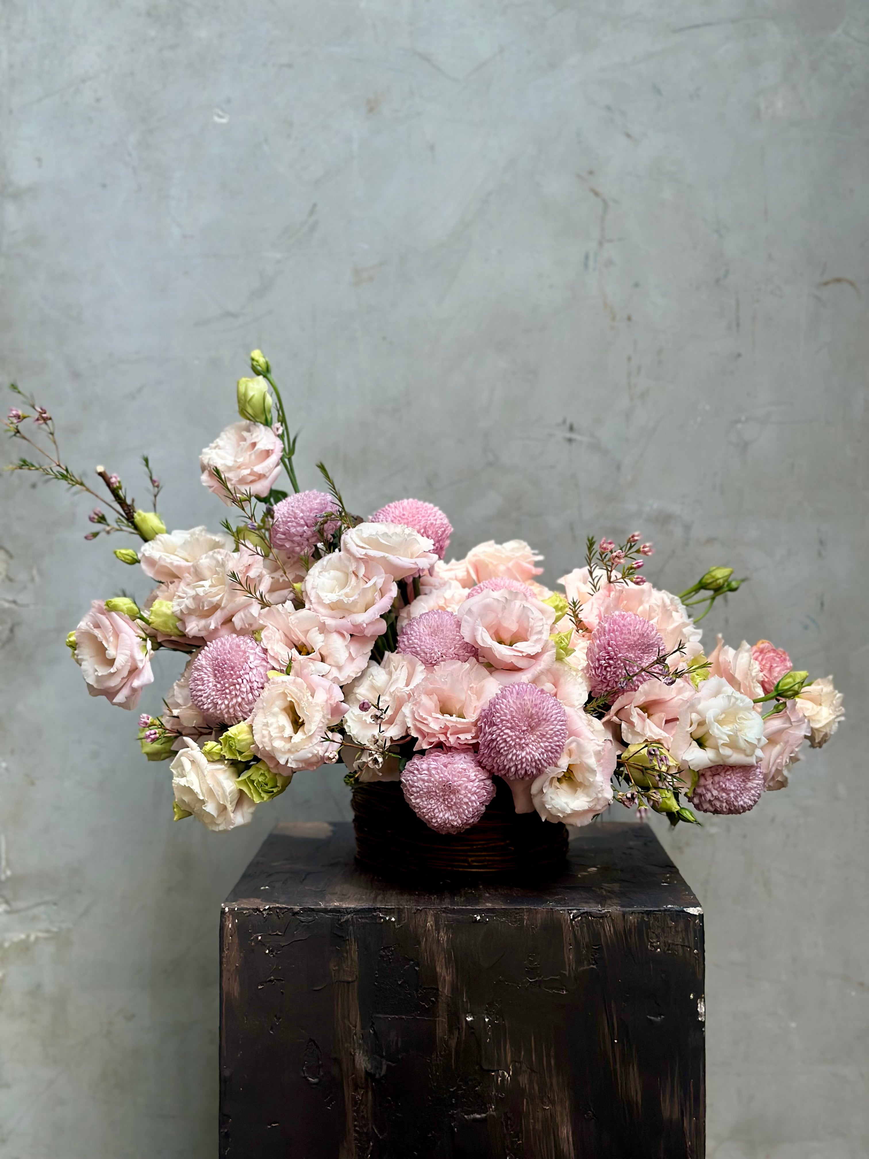 BLUSH BLOOMS