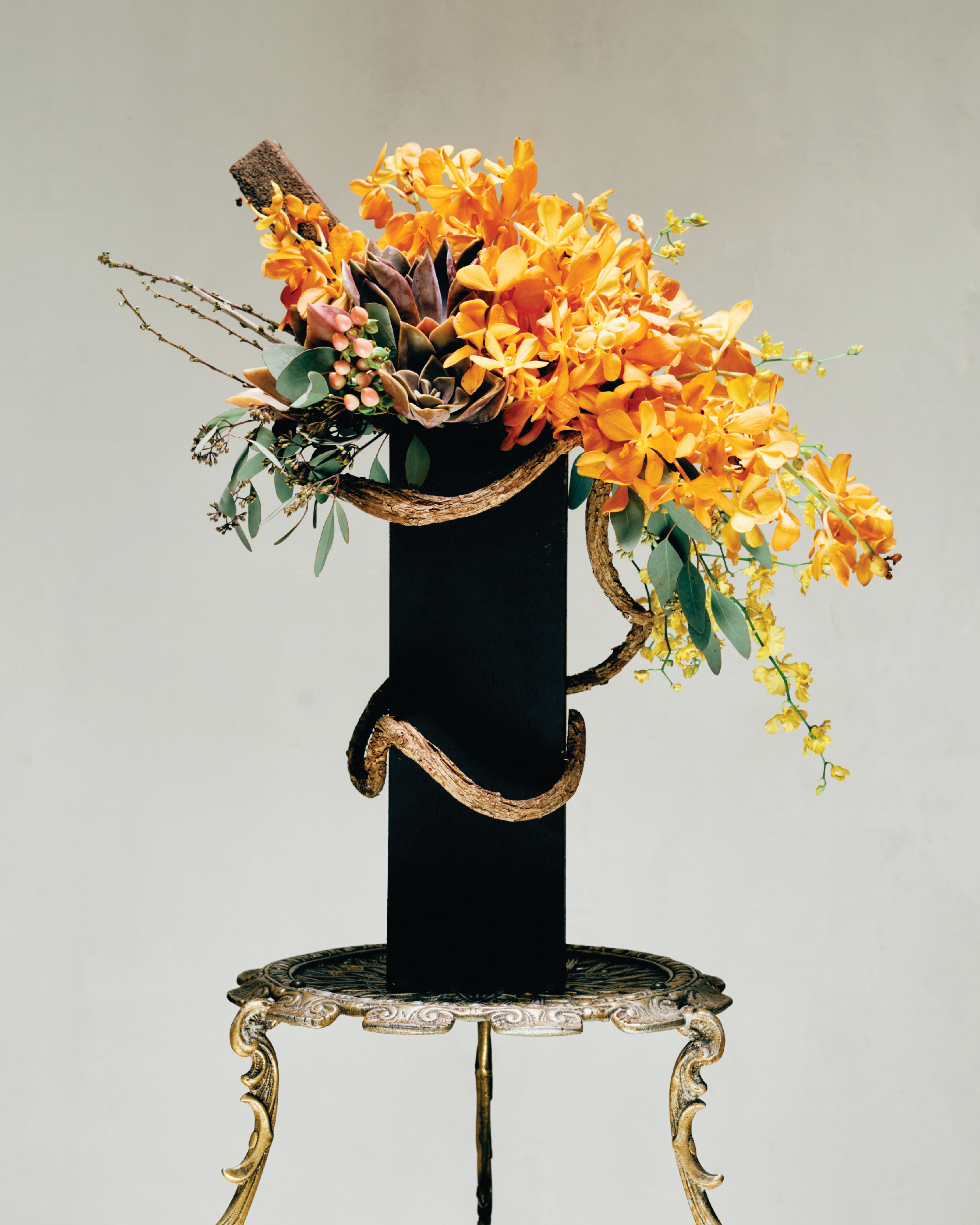 GOLDEN MOKARA ORCHIDS