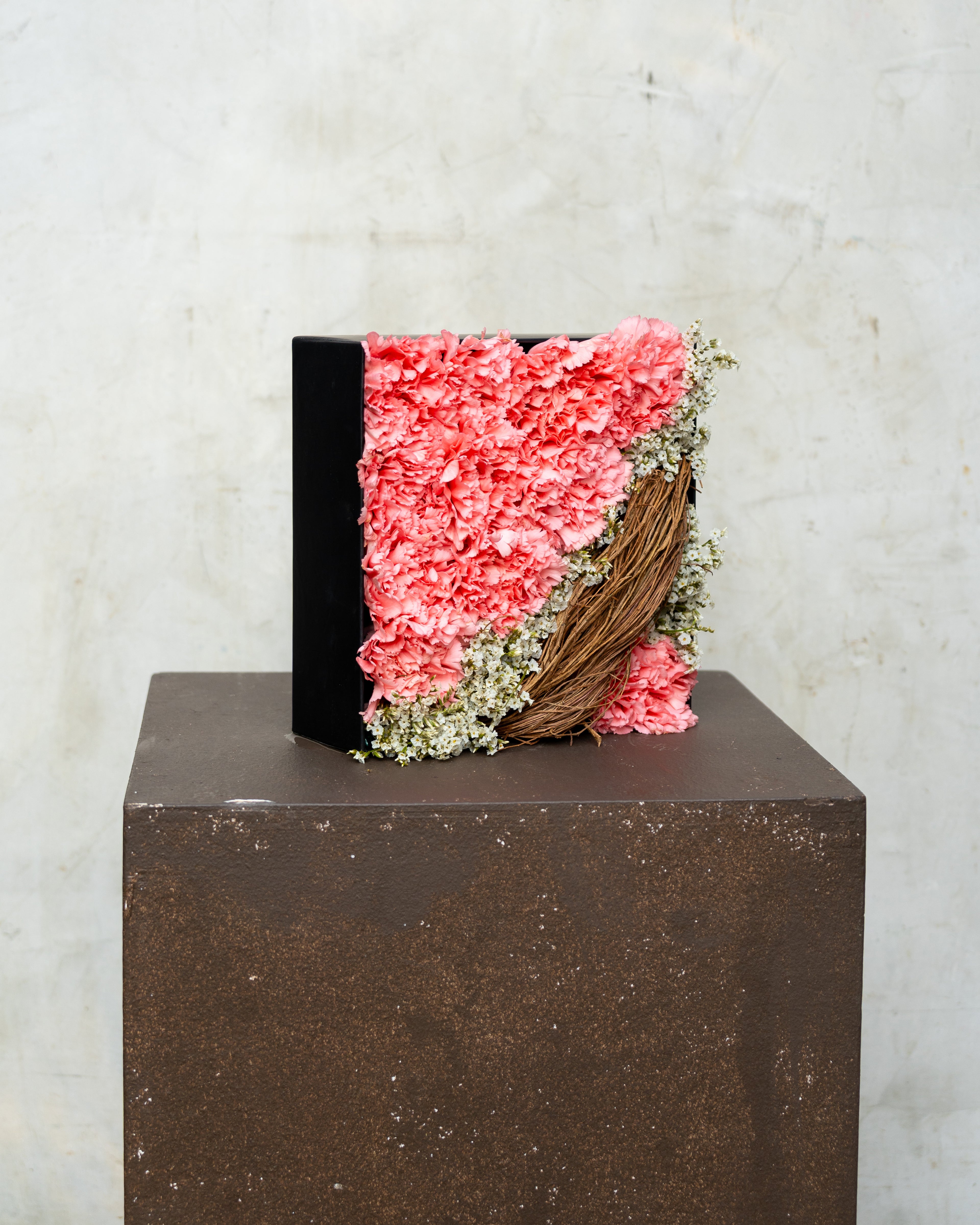 BOXED PINK CARNATIONS