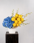 OCEAN HYDRANGEAS