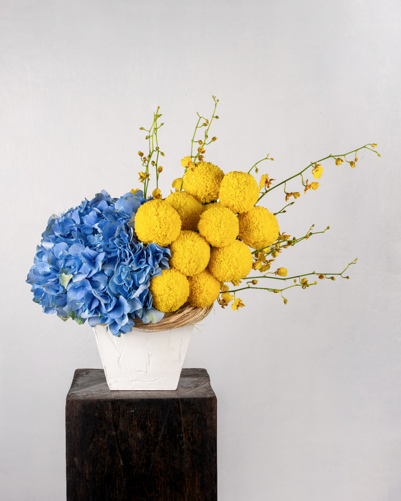 OCEAN HYDRANGEAS