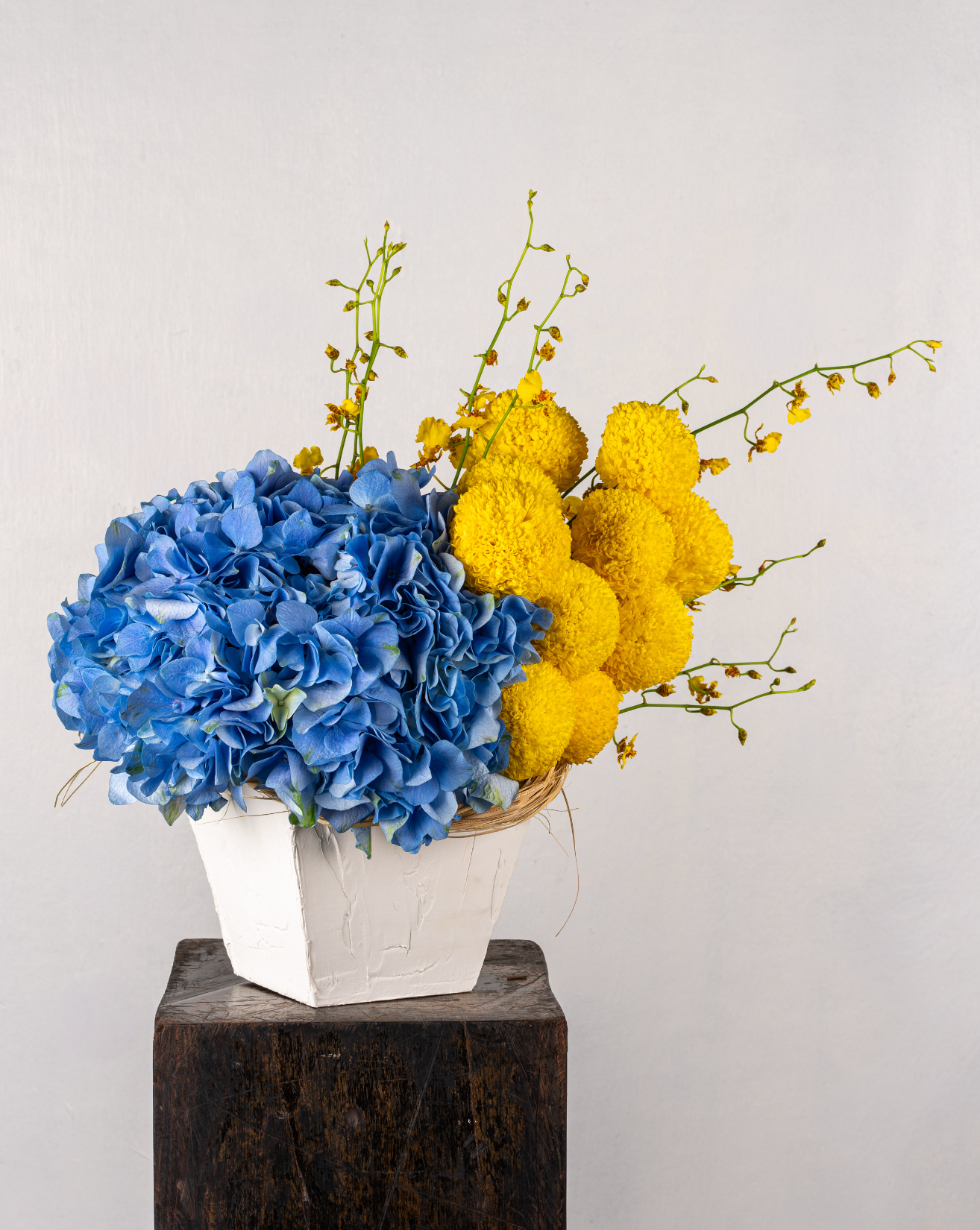 OCEAN HYDRANGEAS