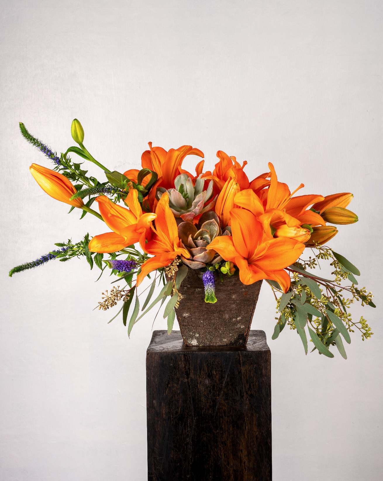 SUNSET LILIUMS