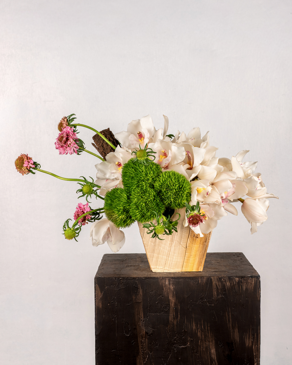 IVORY CYMBIDIUMS