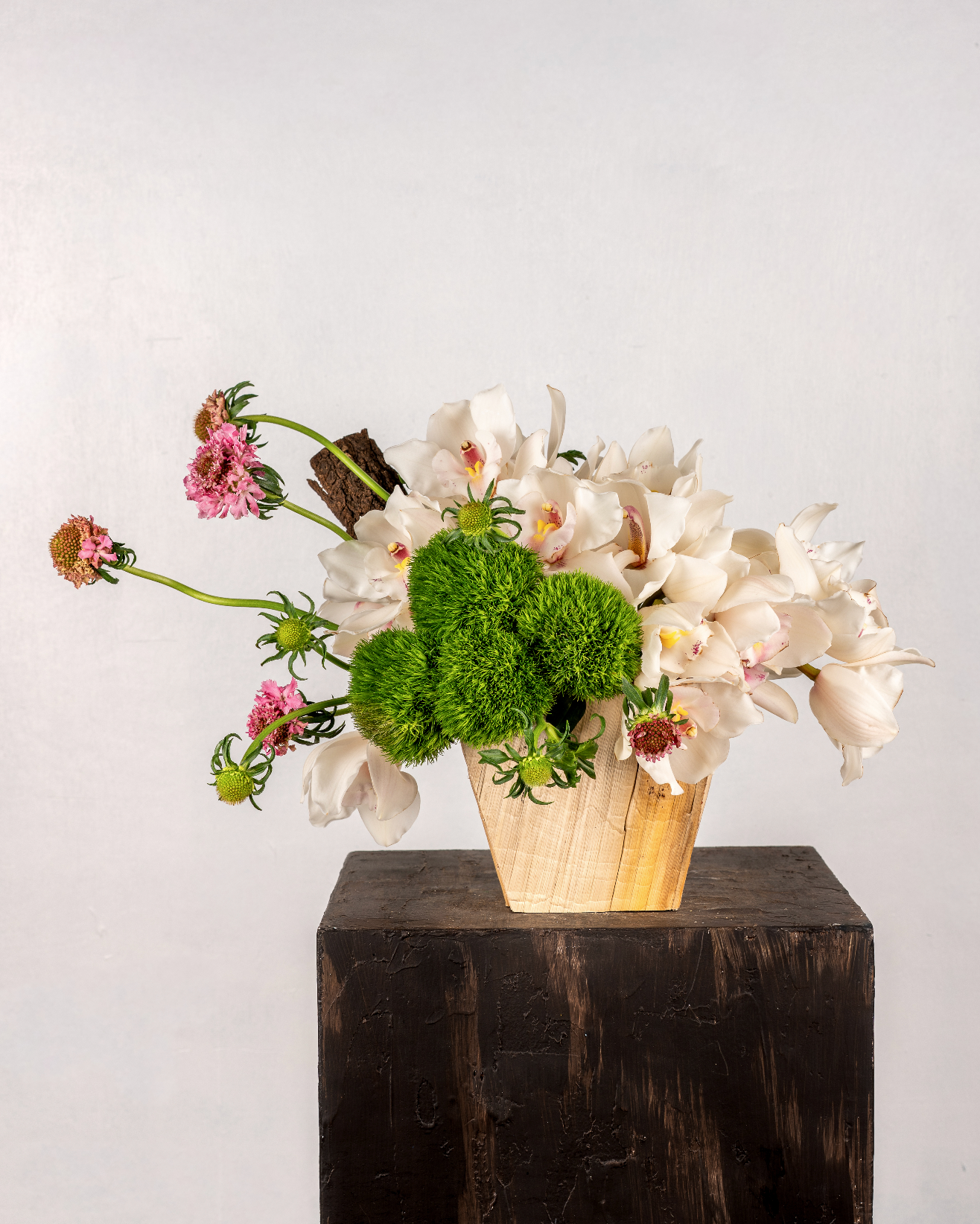 IVORY CYMBIDIUMS