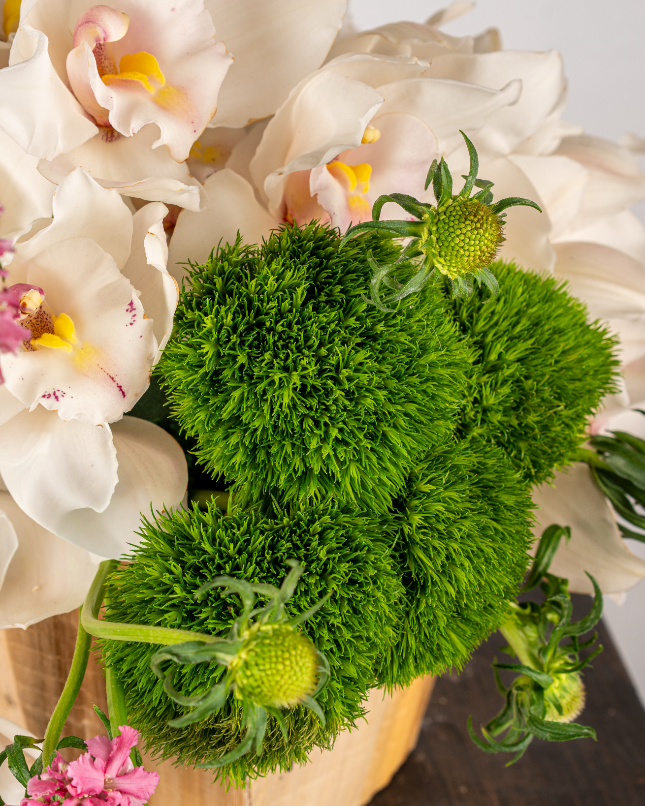 IVORY CYMBIDIUMS