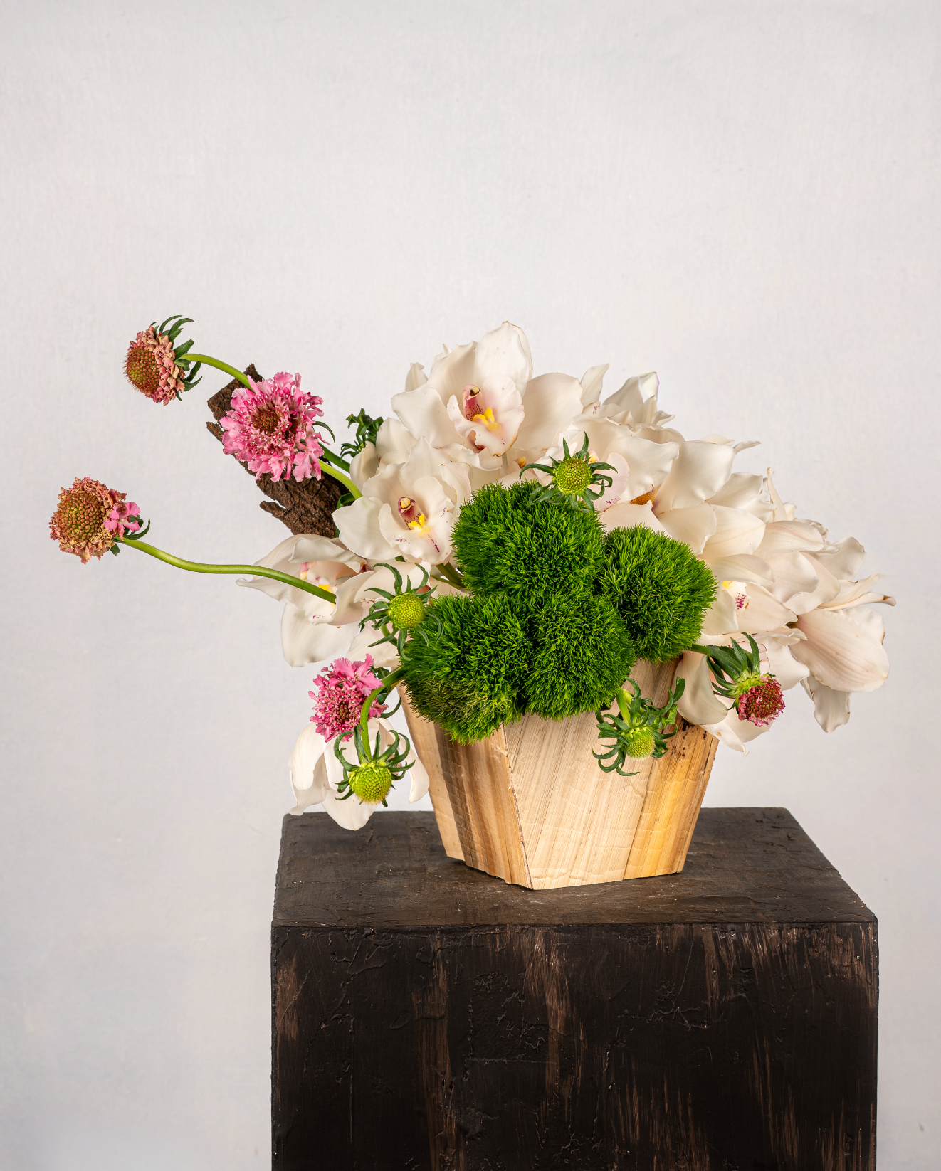 IVORY CYMBIDIUMS