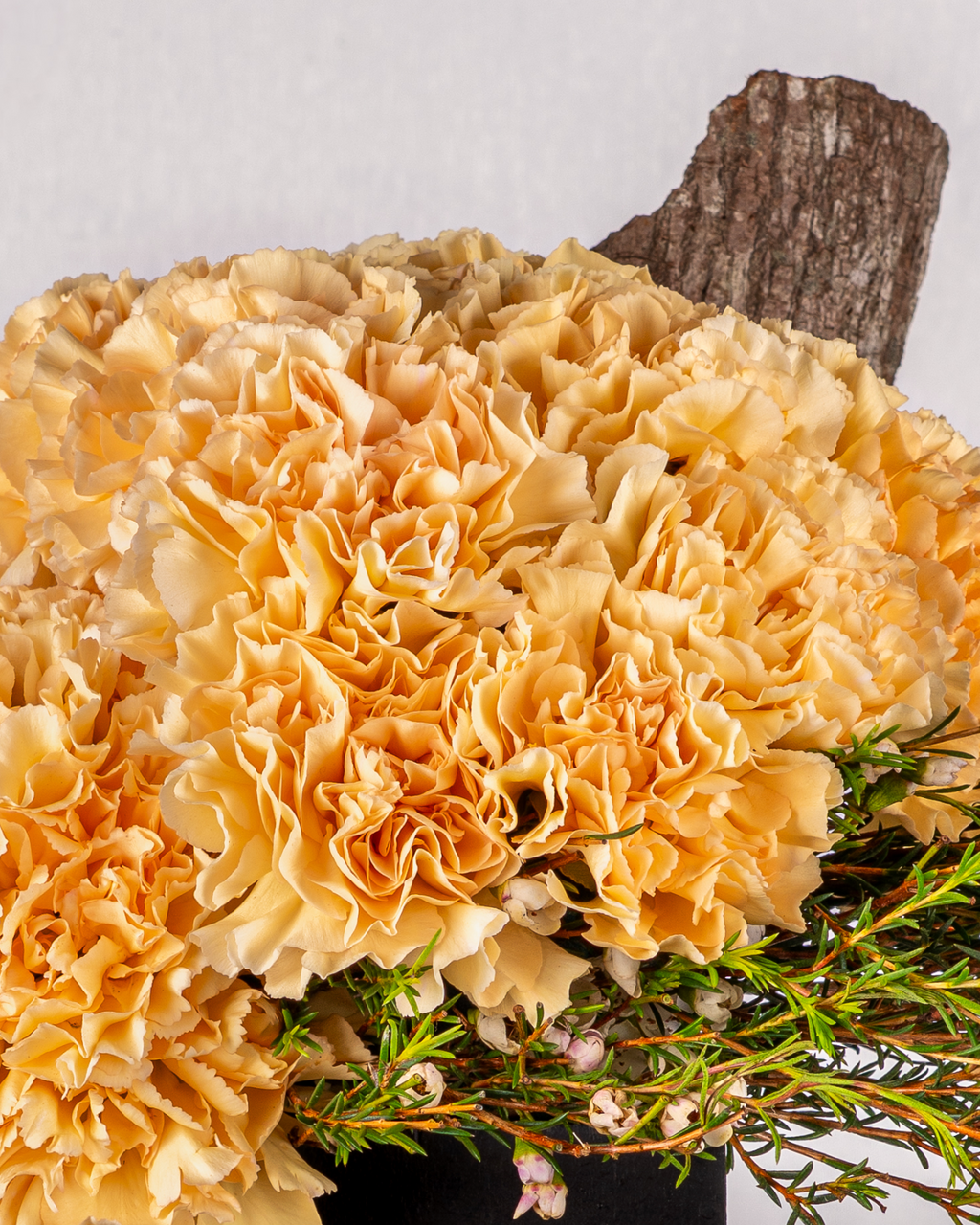 APRICOT CARNATIONS