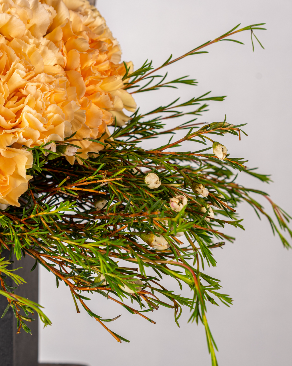 APRICOT CARNATIONS