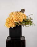 APRICOT CARNATIONS