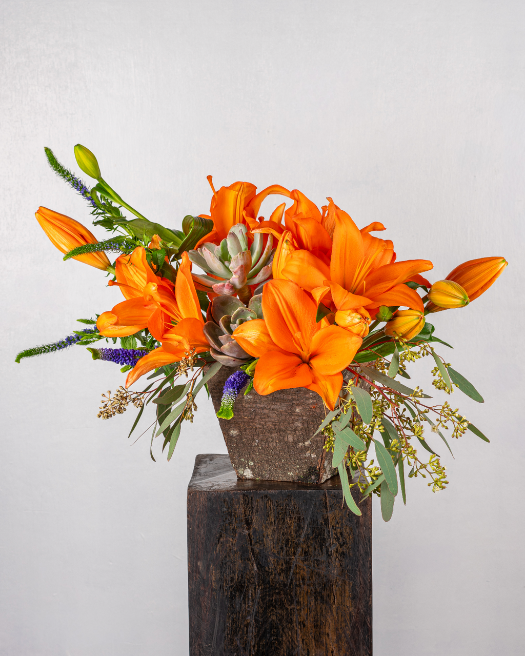 SUNSET LILIUMS