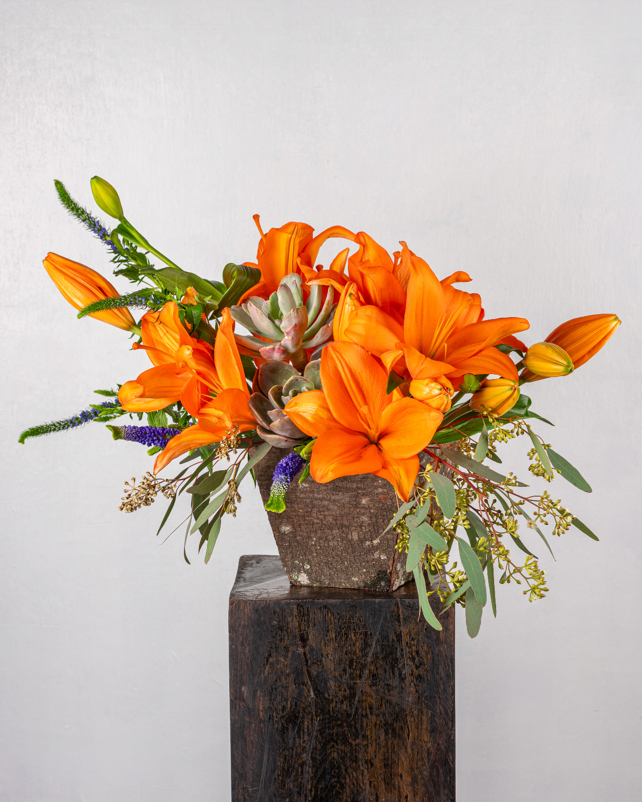 SUNSET LILIUMS