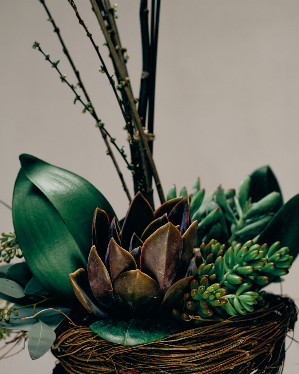 1-STEM PURPLE TABLE-TOP PHALAENOPSIS