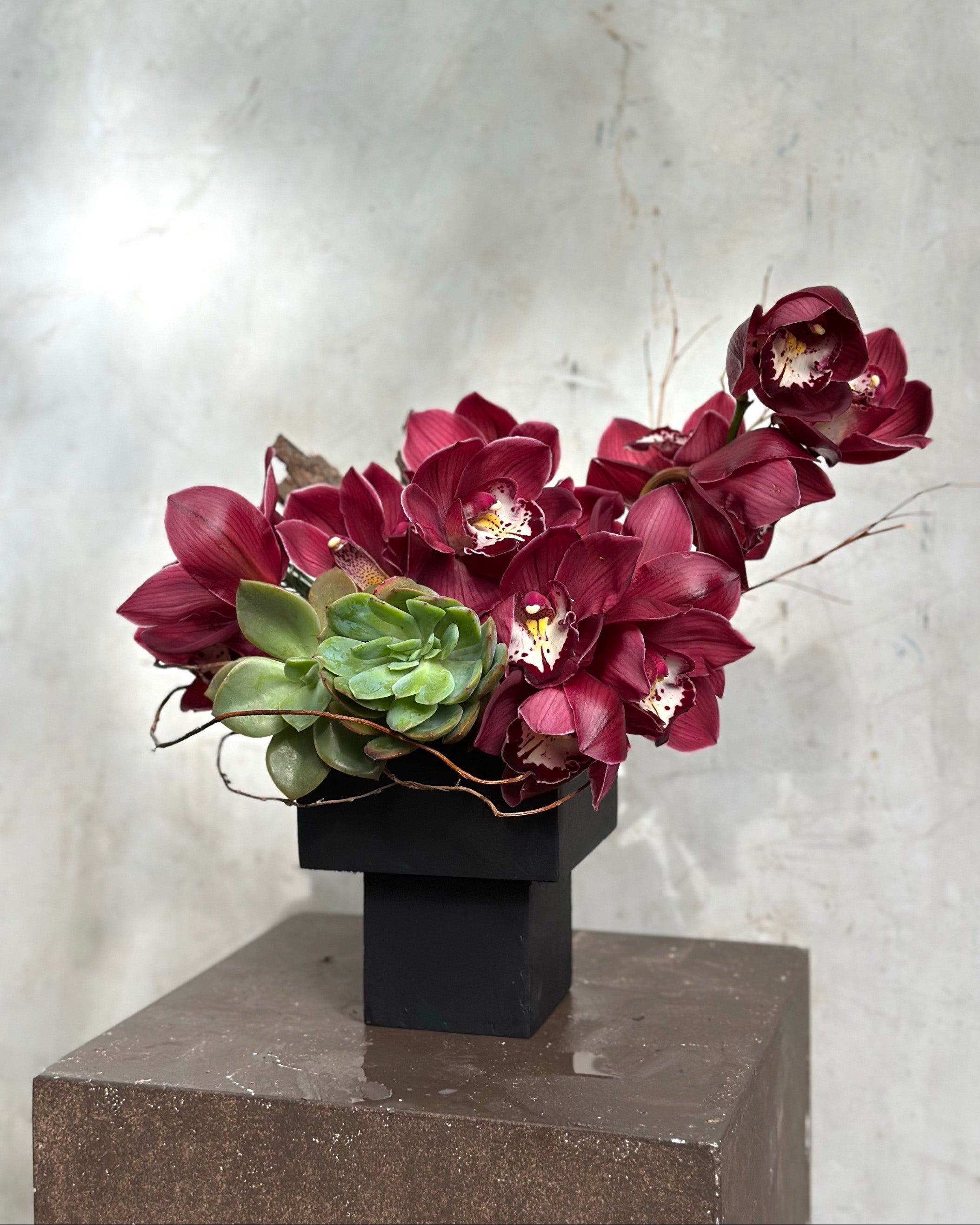 BURGUNDY CYMBIDIUMS